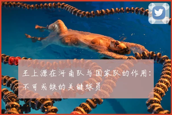 王上源在河南队与国家队的作用：不可或缺的关键球员